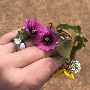 Meet your Posher, Katy